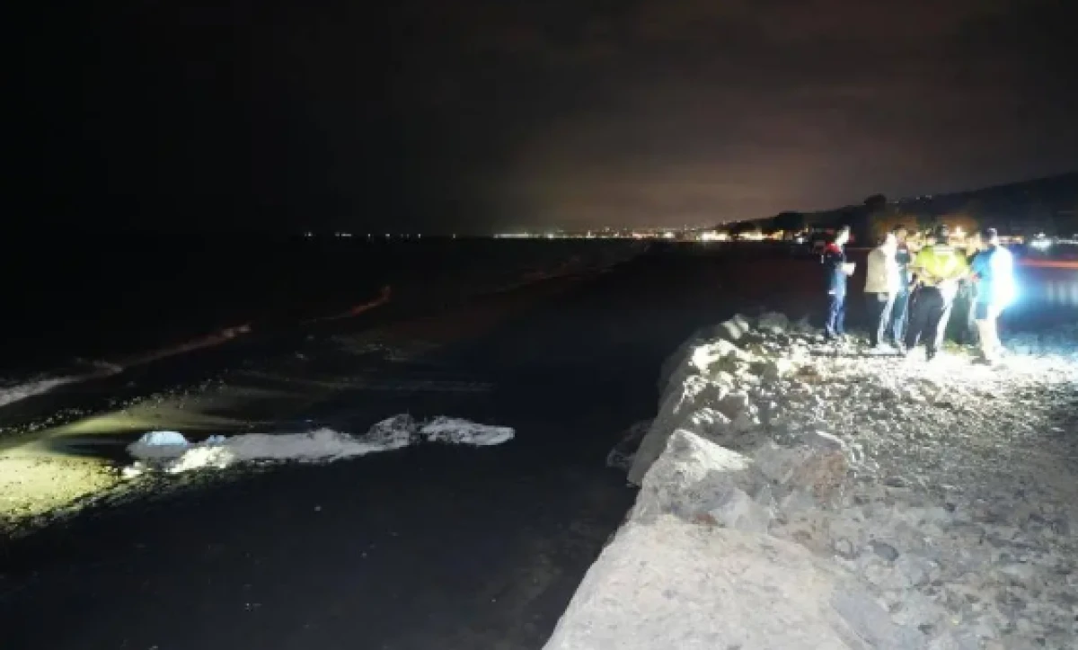 Samsun sahilinde sıcak saatler! Bir&ccedil;ok noktada g&ouml;r&uuml;ld&uuml;, ekipler alarma ge&ccedil;ti
