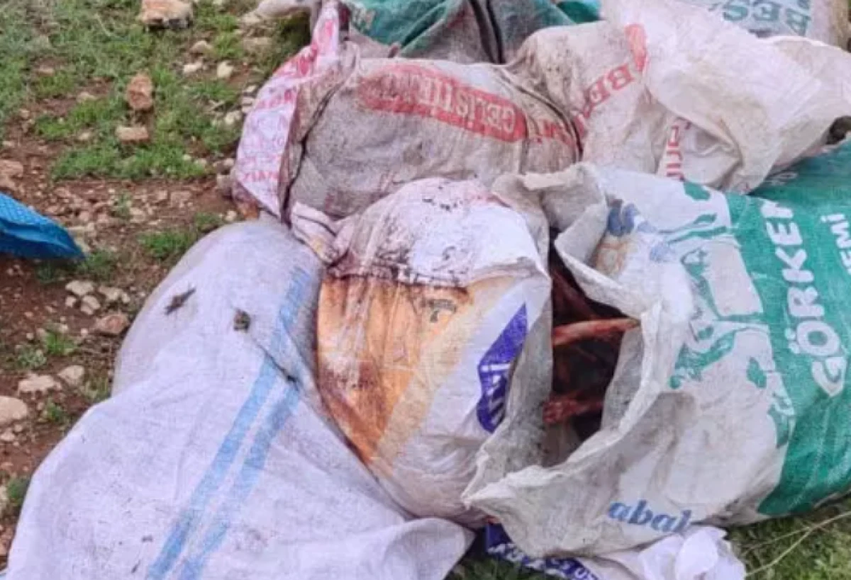 Şanlıurfa'da &ccedil;uvaldan at leşi &ccedil;ıktı