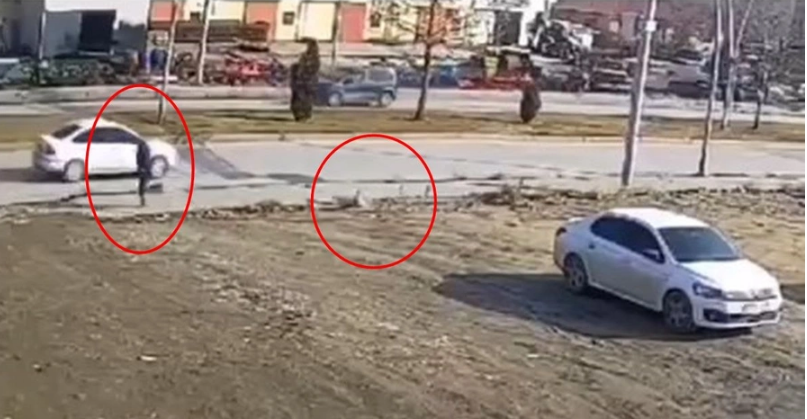 Sayaç okumaya giden görevliyi horoz kovaladı