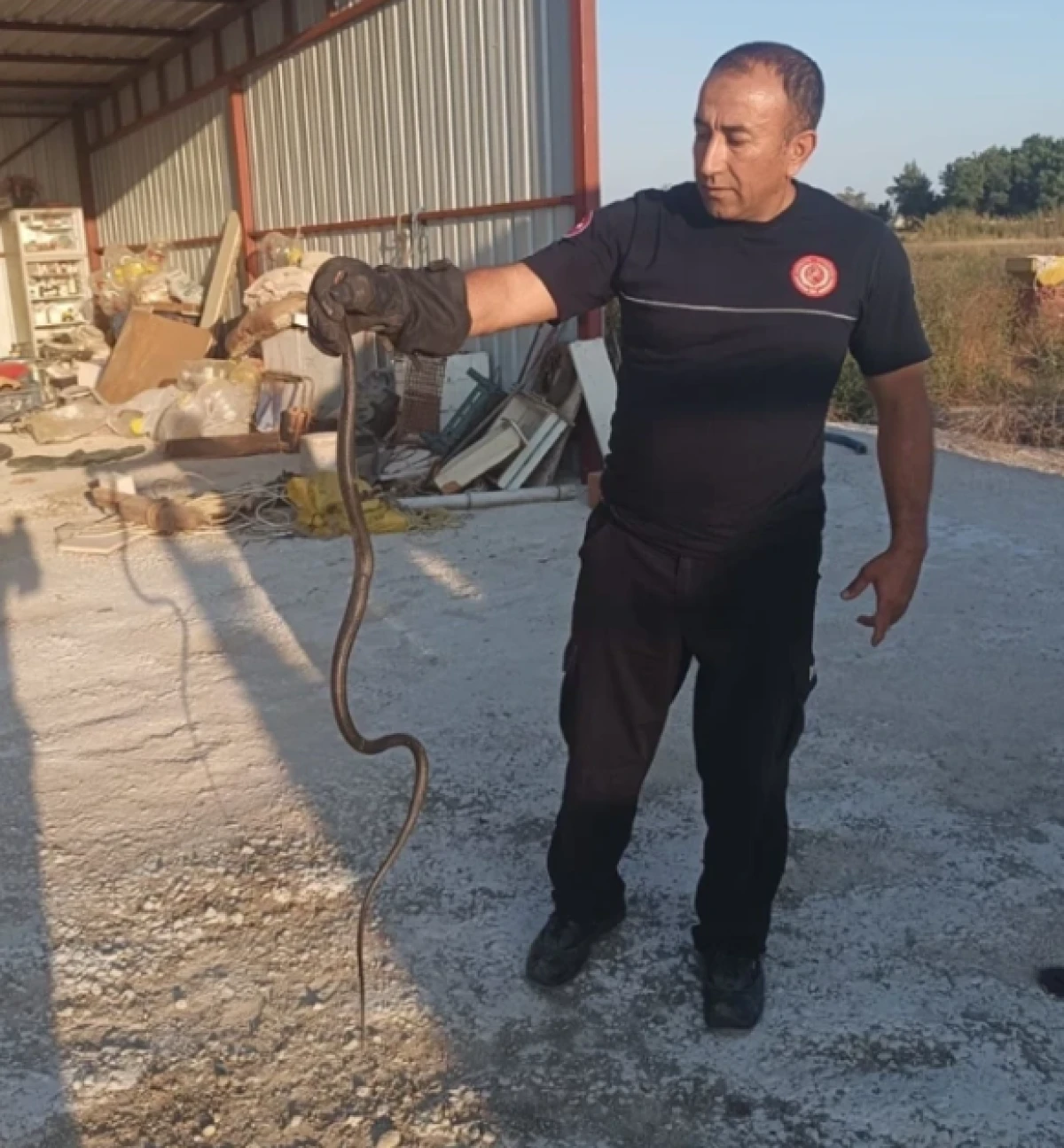 Sıcaklarla Birlikte Yılan Alarmı: İtfaiyeye G&uuml;nde 10 İhbar