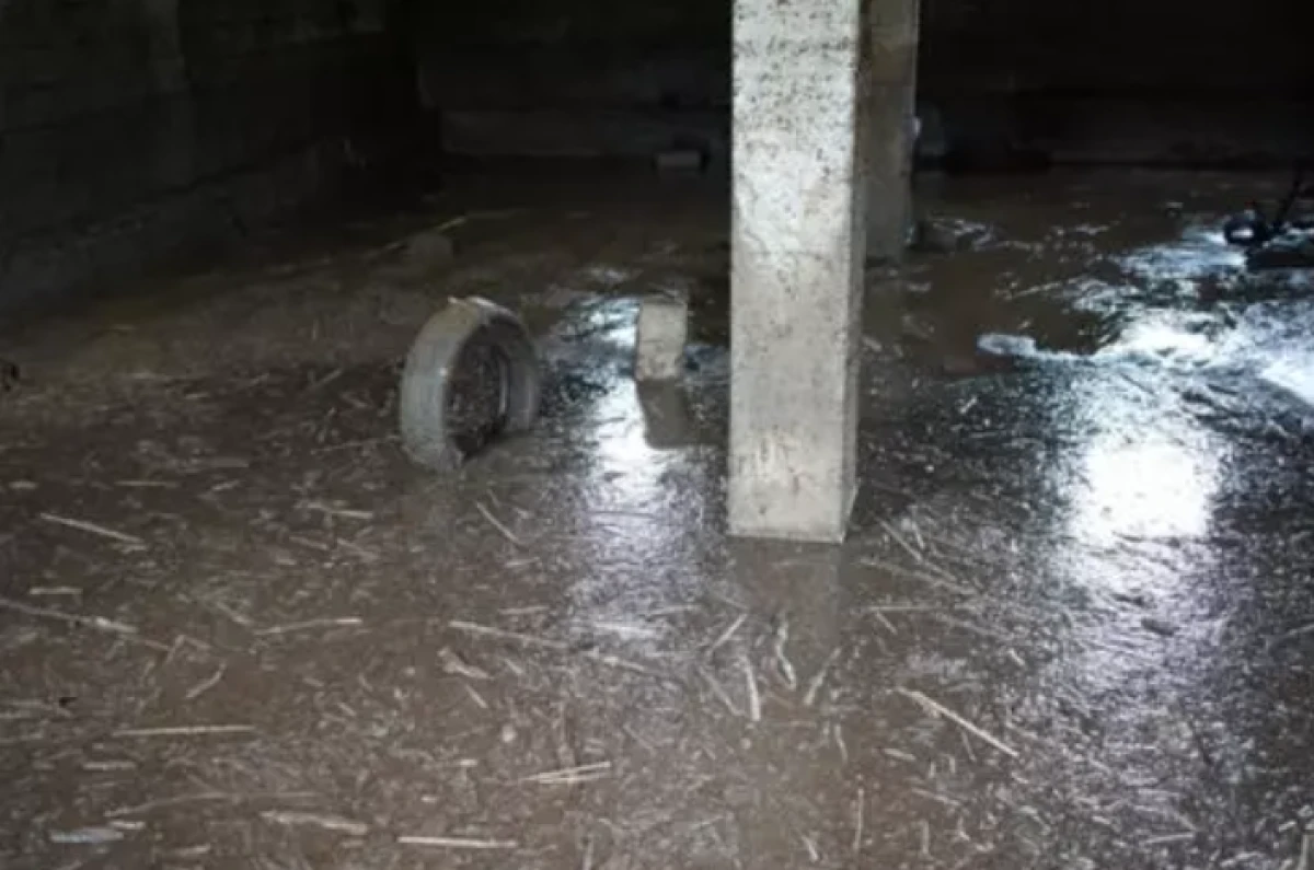 Siirt'te sağanak sonrası facia: 35 k&uuml;&ccedil;&uuml;kbaş akıntıya kapılarak telef oldu