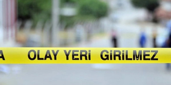 Sinop'ta gezinti yapan kişilerin üzerine ağaç devrildi 