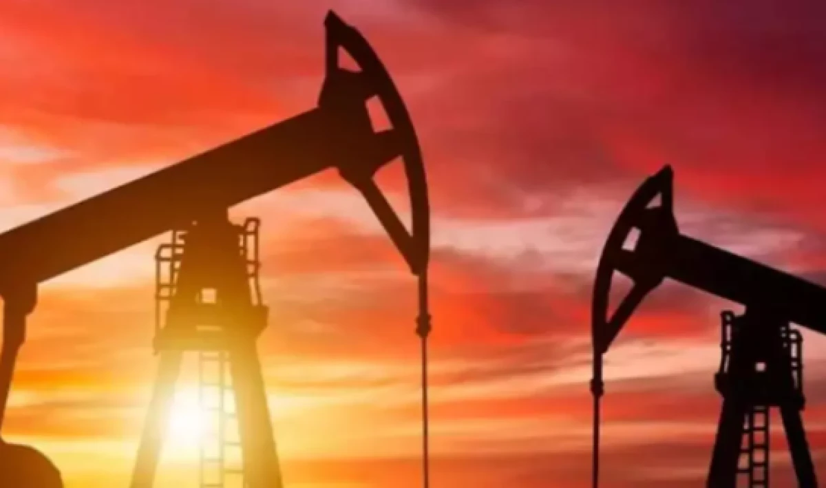 Sırbistan'dan flaş karar                                        