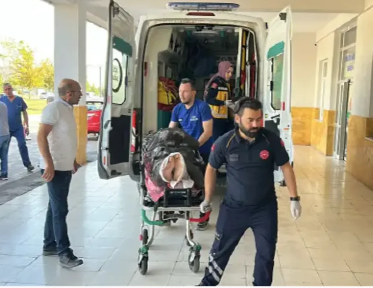 Sivas'ta ayı dehşeti! Yaralı &ccedil;oban helikopterle hastaneye kaldırıldı