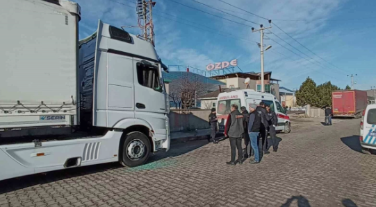 Sivas'ta bir tır şoförü ölü bulundu                 