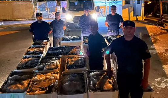 Tam 162 kasa balığa el konuldu!                 