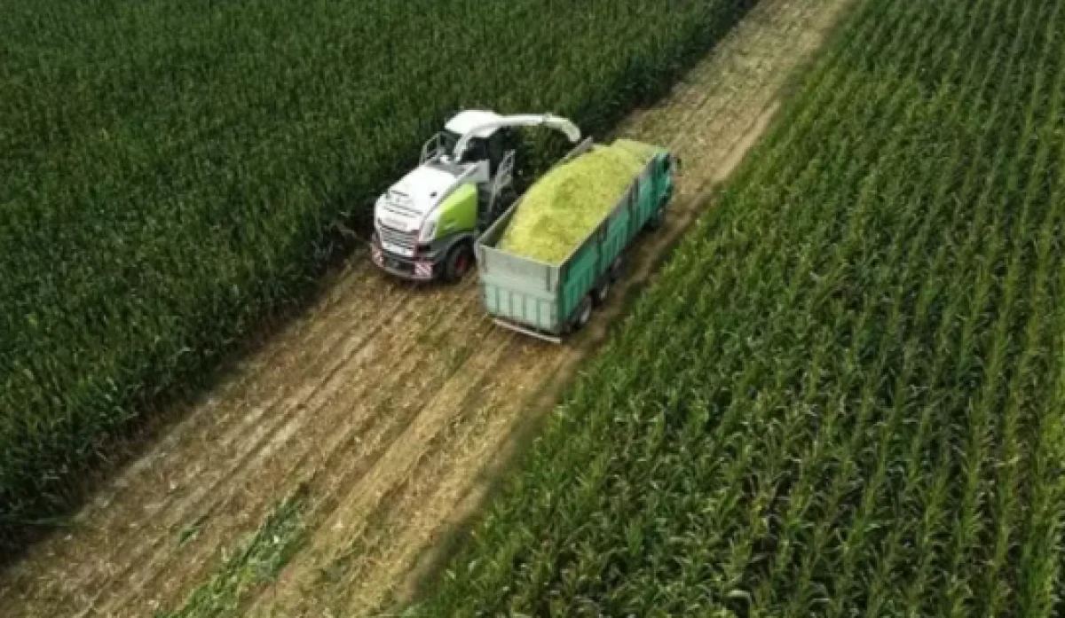 Tarım &Uuml;FE martta aylık bazda y&uuml;zde 3,85 arttı               