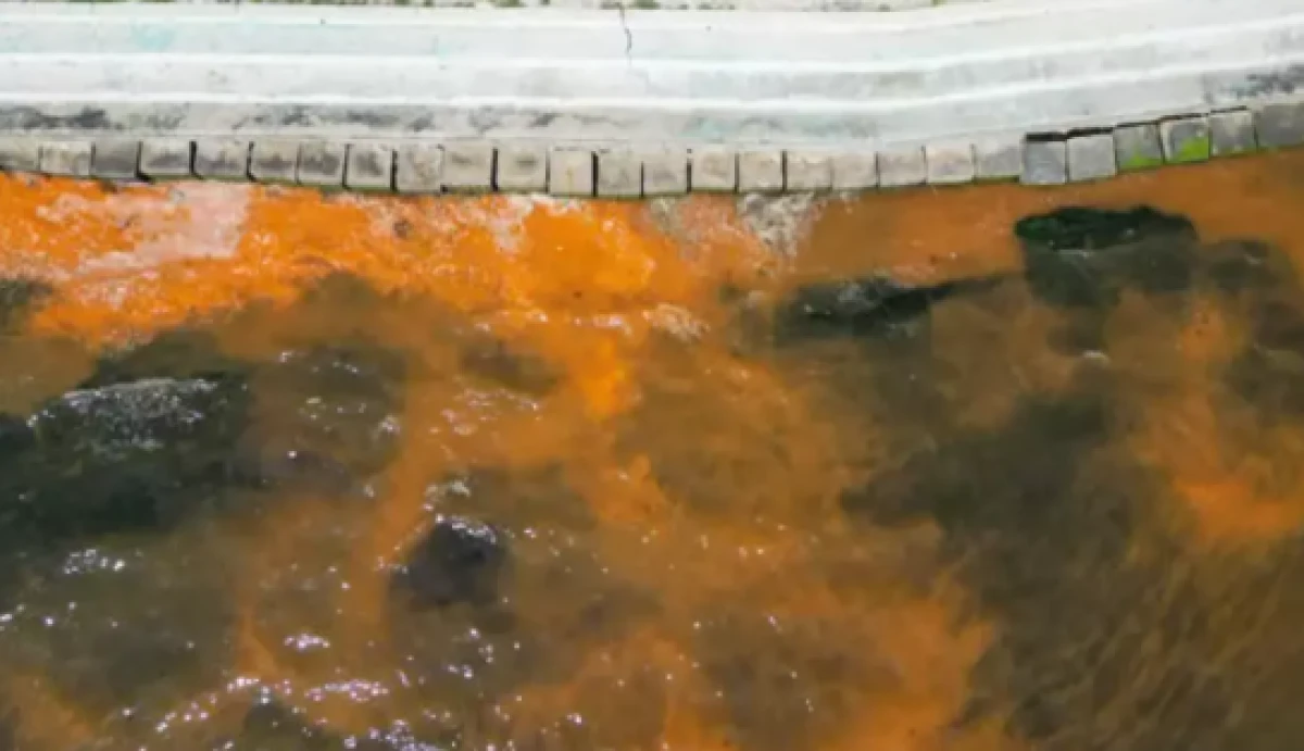 Tekirdağ'da denizin rengi değişti! Uzmanlardan a&ccedil;ıklama geldi