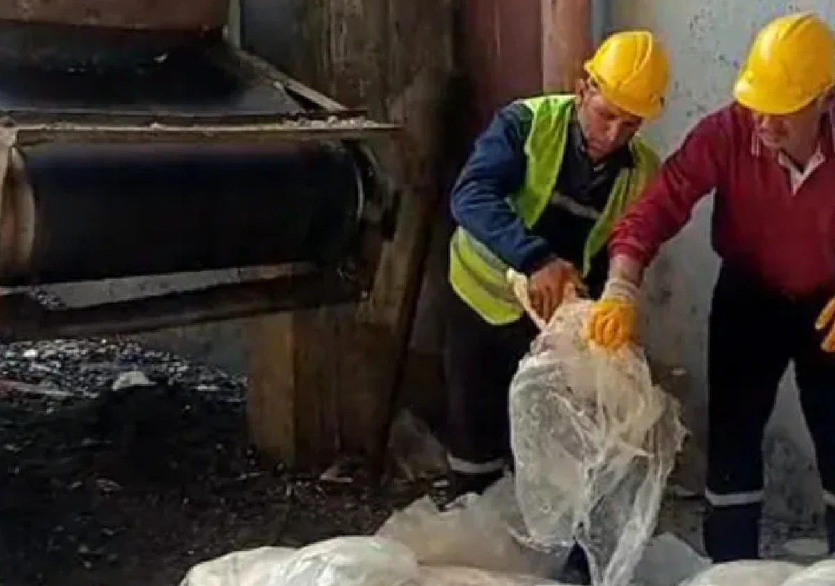 Tekirdağ'da gıda skandalı: 1,2 ton sakatat imha edildi