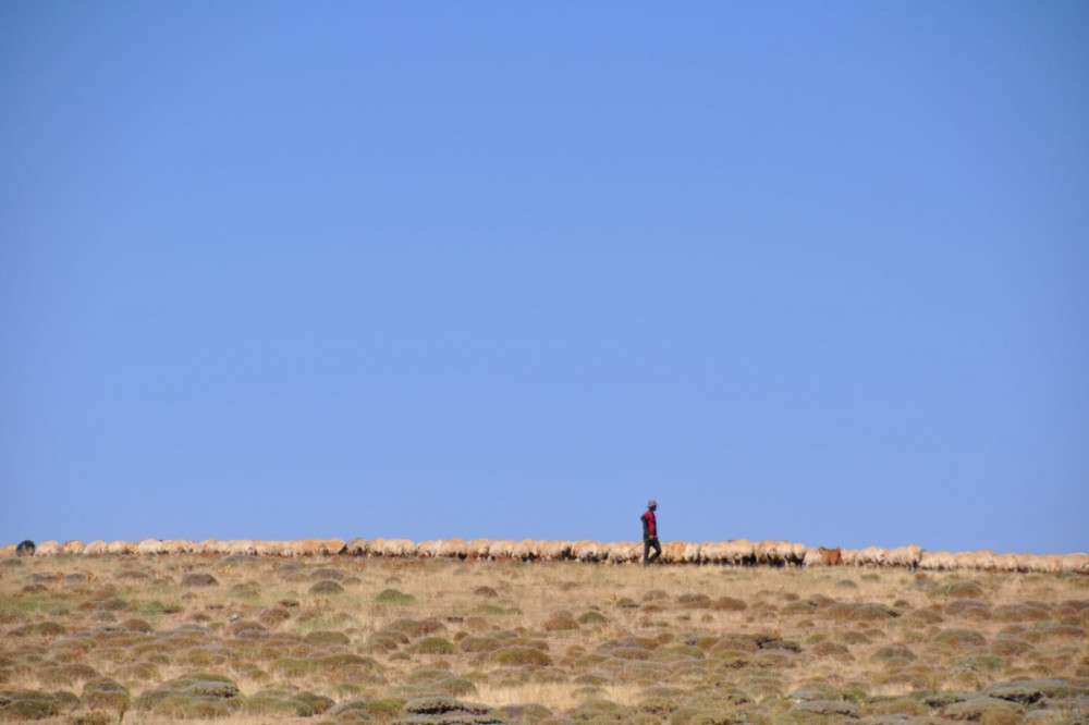 Terör gitti,Huzur geldi!                             
