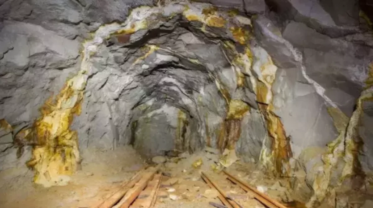 Toprağın altından servet fışkırdı!       