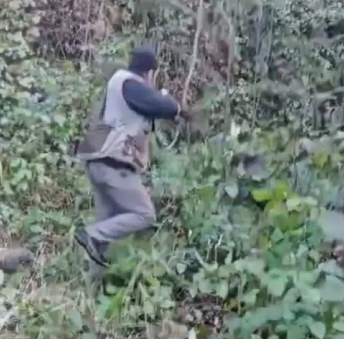 Trabzon'da ava giderken avlandılar!      