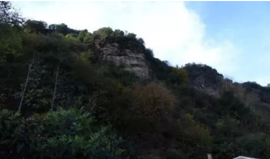 Trabzon'da bir köy korku içerisinde! 