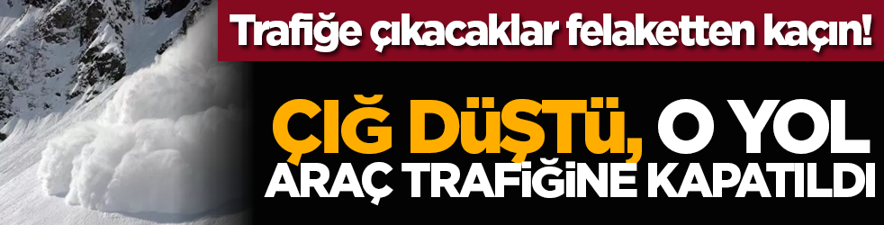 Trafiğe çıkacaklar felaketten kaçın! Çığ düştü