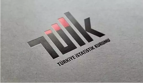 TÜİK'ten ''tartışmalı veri'' iddialarına açıklama
