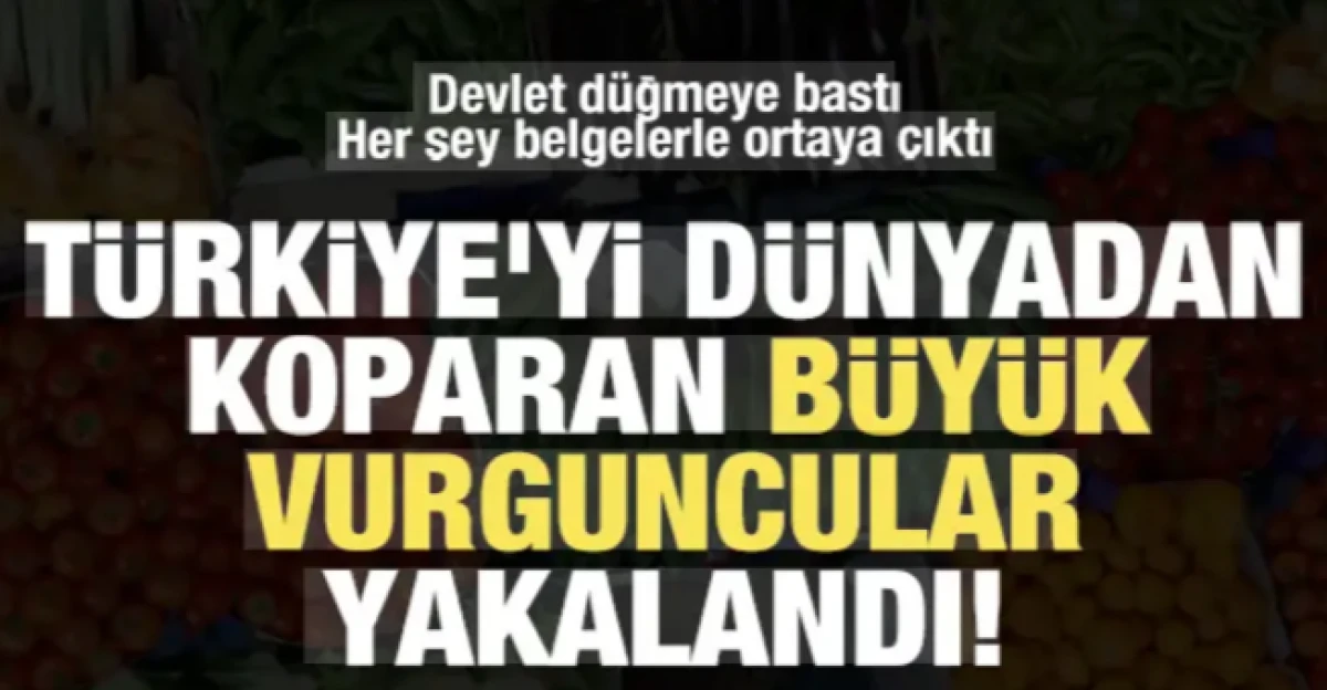 T&uuml;rkiye'yi d&uuml;nyadan koparan b&uuml;y&uuml;k vurguncular yakalandı
