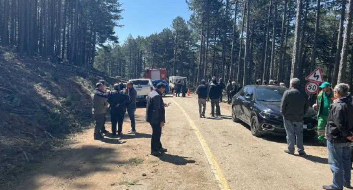 Uludağ'da kesilen ağa&ccedil;, seyir halindeki kamyonetin &uuml;zerine devrildi: 1 &ouml;l&uuml;