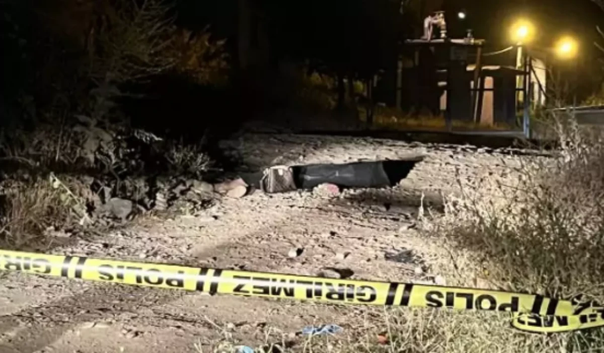 Üniversiteli Teslime, orman yolunda ölü bulundu       