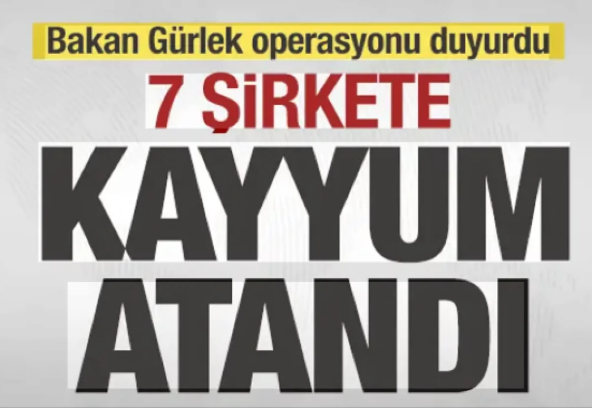 Usuls&uuml;z yolla T&uuml;rk vatandaşlığı dağıtmışlar! 7 şirkete kayyum atandı