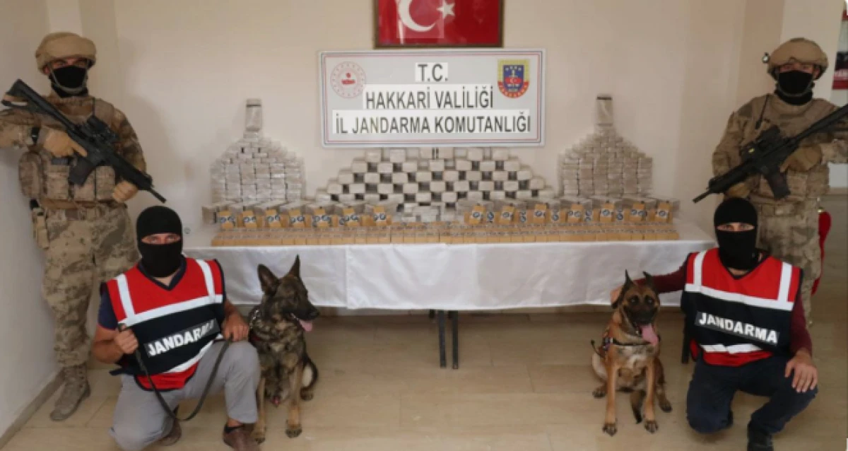 Van ve Hakkari'de uyuşturucu tacirlerine dabe                         