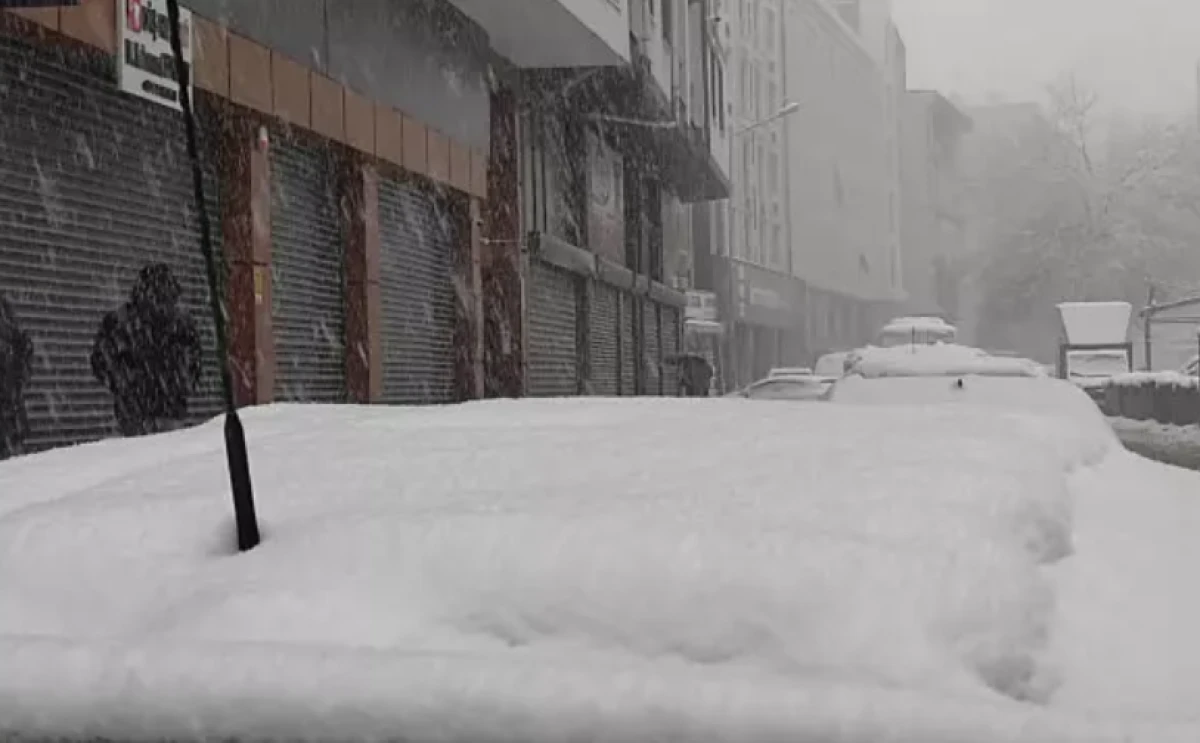 Van'da kar nedeniyle 216 yerleşim yerinin yolu ulaşıma kapandı   