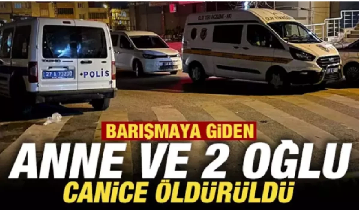 Van'da korkunç olay! Anne ve 2 oğlu hayatını kaybetti 