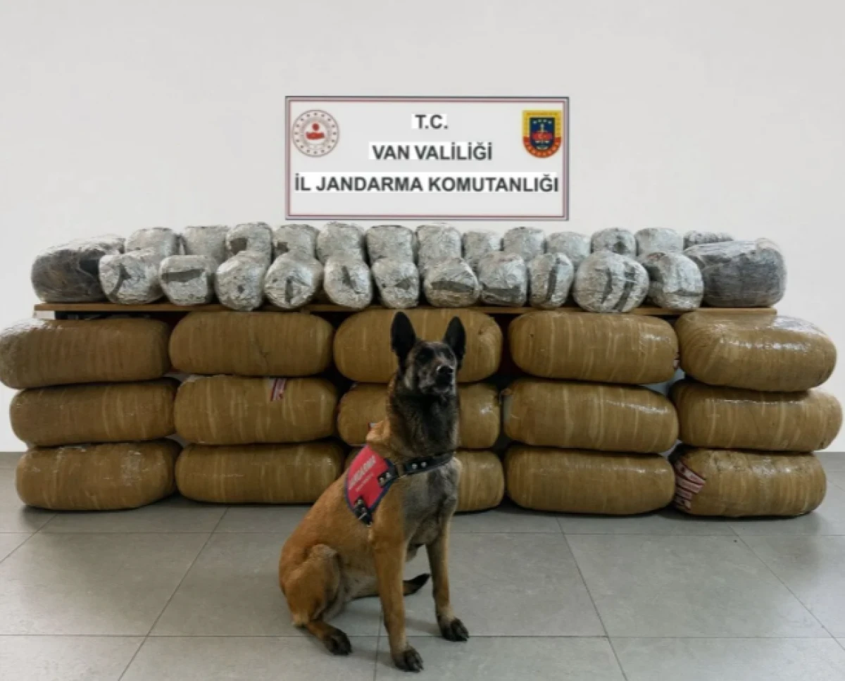 Van'da zehir tacirlerine dev darbe: Tırdan y&uuml;zlerce kilo skunk fışkırdı