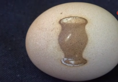 Vazo desenli yumurtlayan tavuk şok etti!               