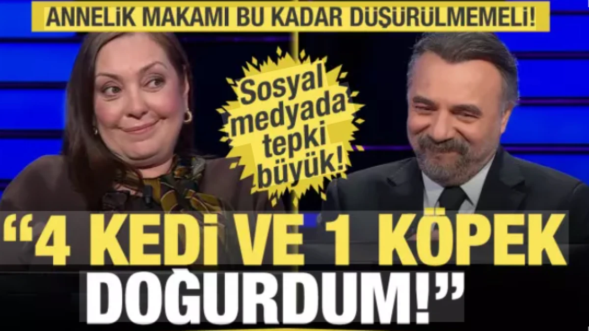 Yarışmada 4 kedi ve 1 k&ouml;pek i&ccedil;in "Ben doğurdum" dedi