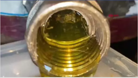 Yeşil Balın rengini görenler şaşkına döndü!          