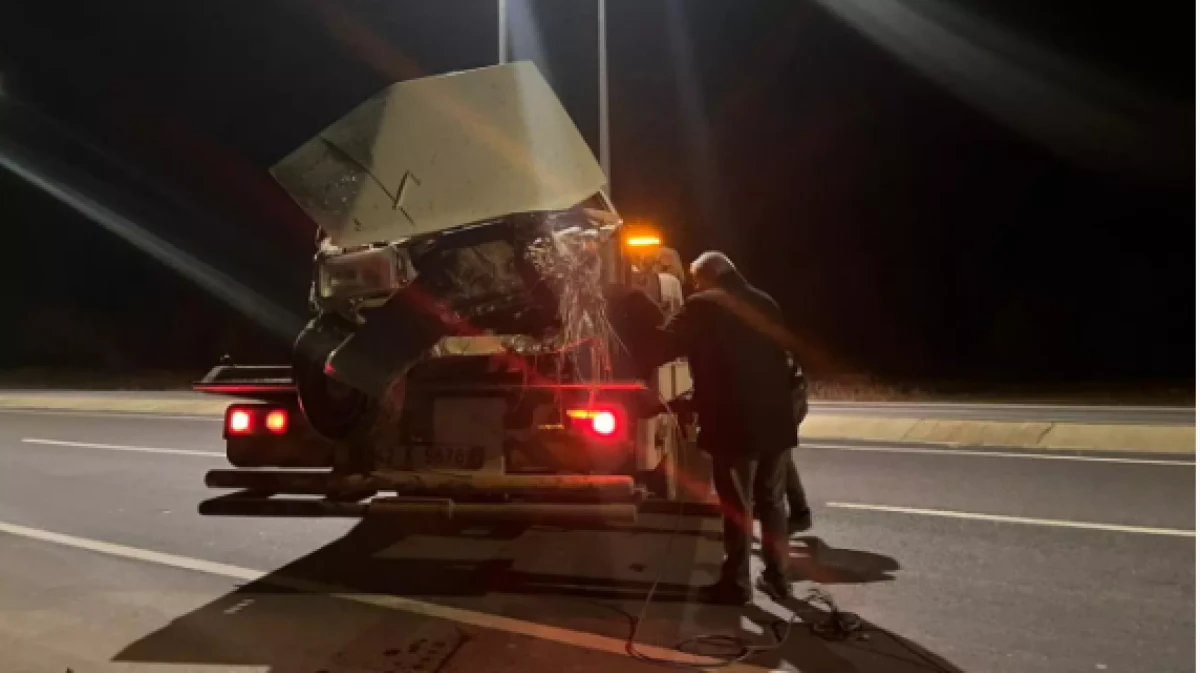 Yola &ccedil;ıkan domuz sonu oldu 